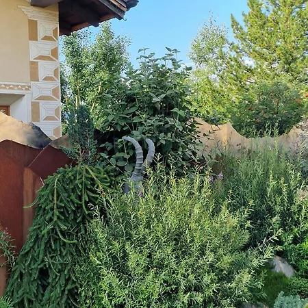 Apartment Chaschatschas, Unsere Barrierefreie *